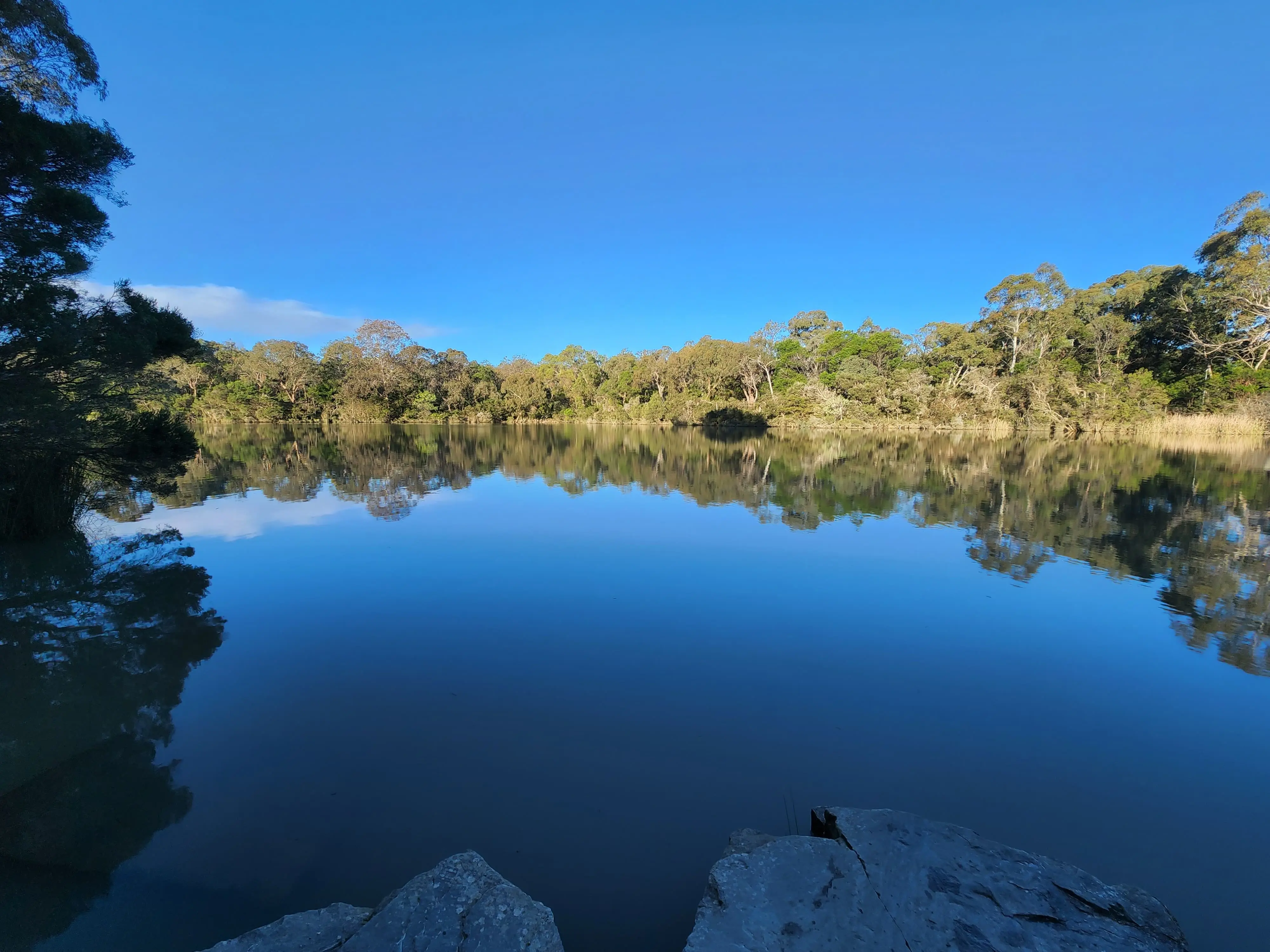Blackburn Lake Sanctuary